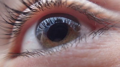 eye-lens
